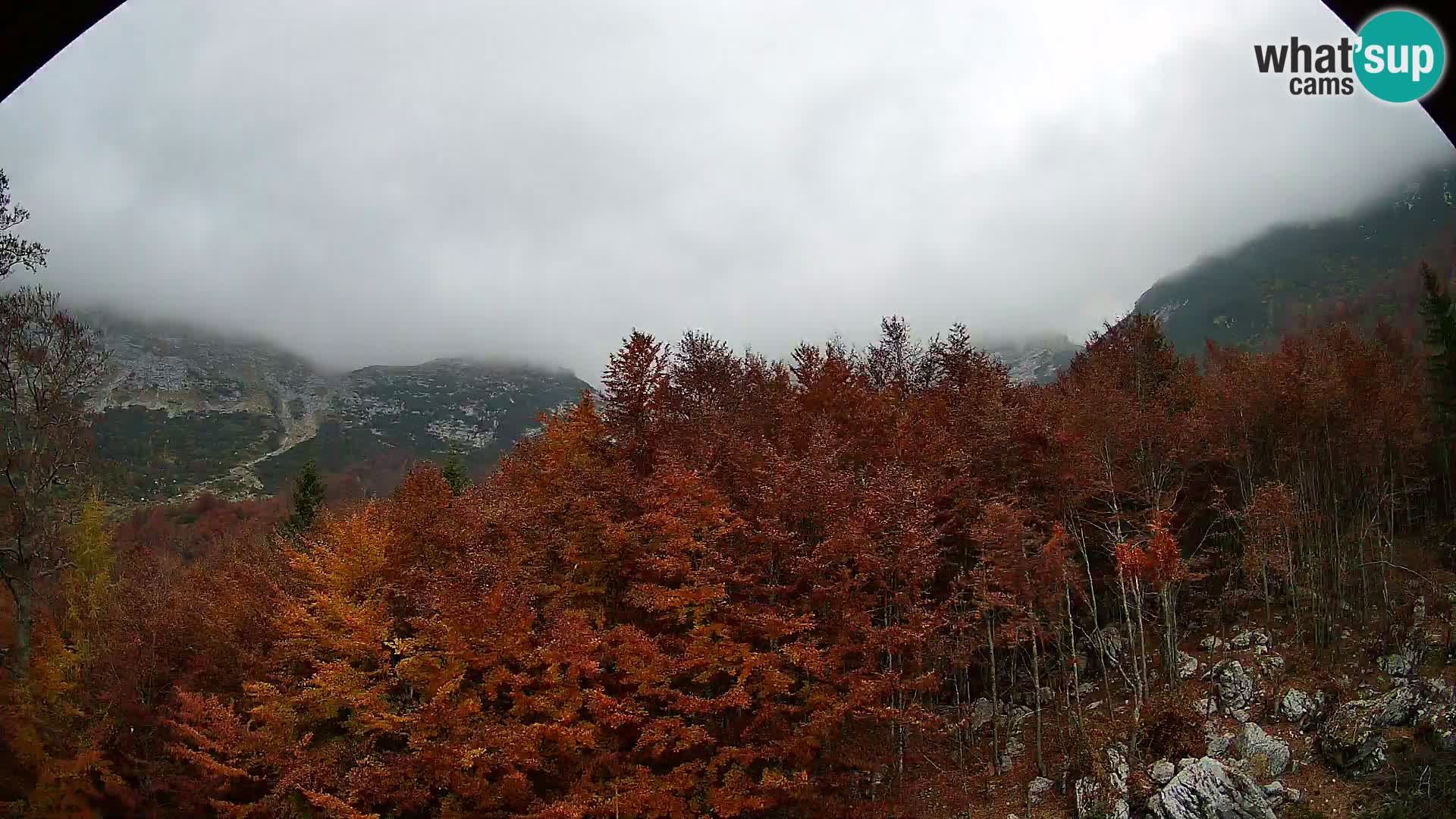 Webcam PLANINA RAZOR (1315) | Blick auf Vogel und Globoko