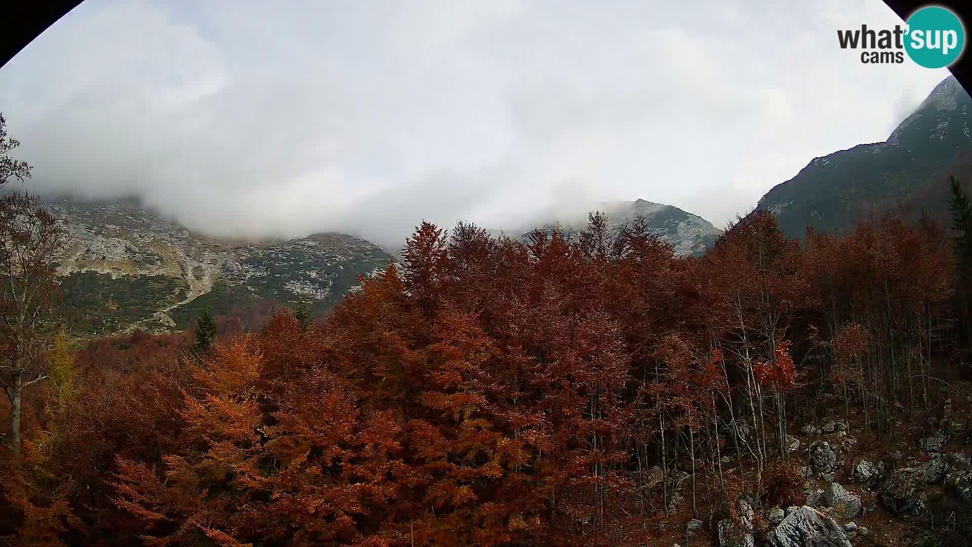 Livecam PLANINA RAZOR (1315) | vue sur Vogel et Globoko