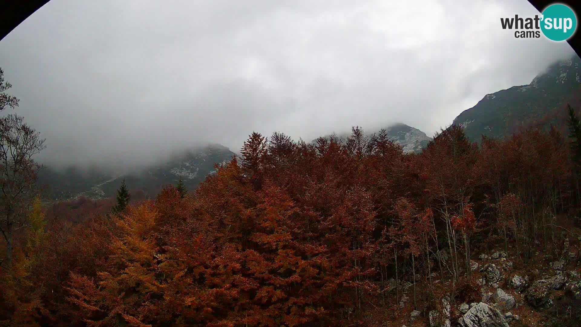 PLANINA RAZOR webcam (1315) | view to Vogel and Globoko