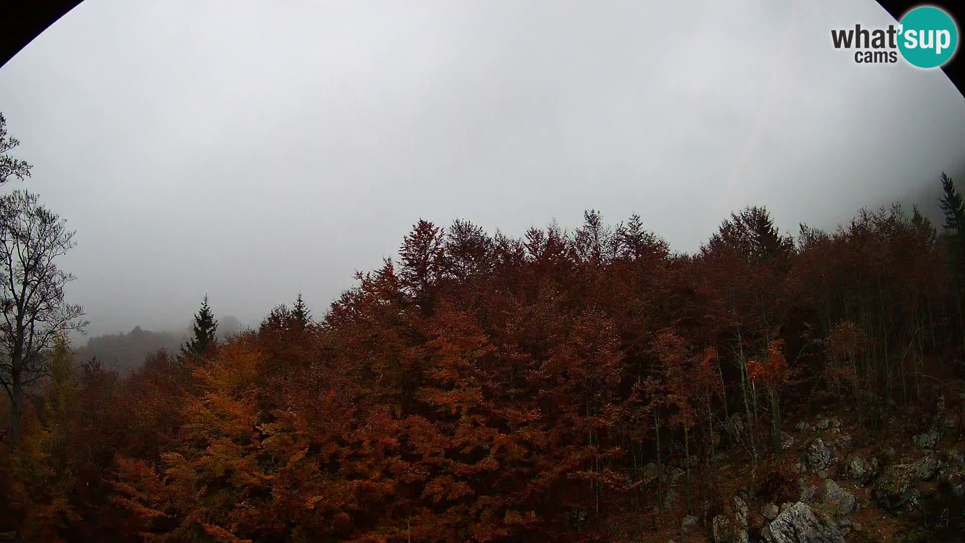 PLANINA RAZOR web kamera (1315) | pogled na Vogel i Globoko