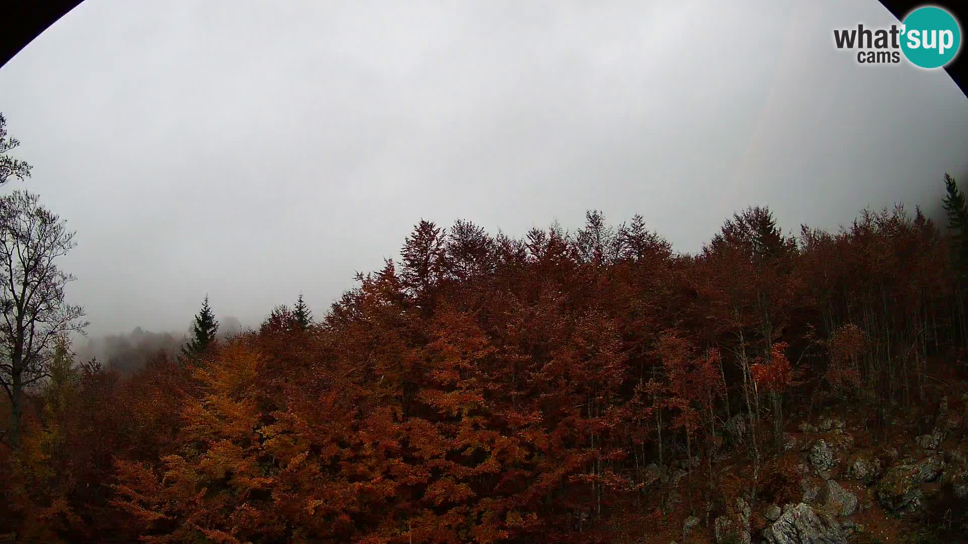 PLANINA RAZOR kamera (1315) | pogled na Vogel in Globoko