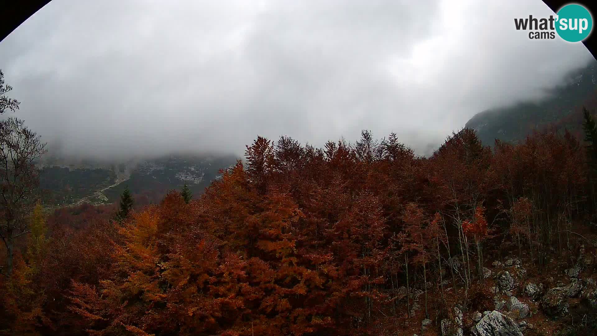 PLANINA RAZOR web kamera (1315) | pogled na Vogel i Globoko