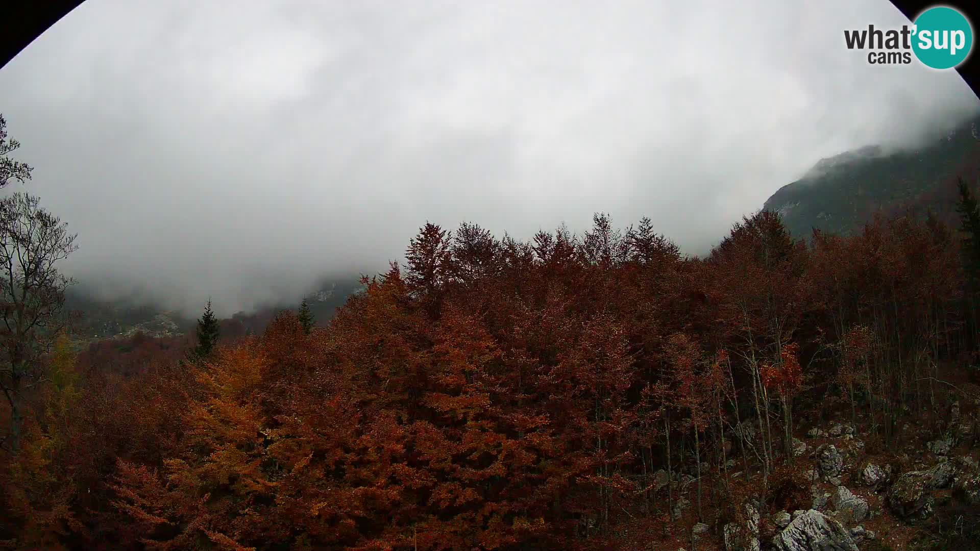 PLANINA RAZOR web kamera (1315) | pogled na Vogel i Globoko