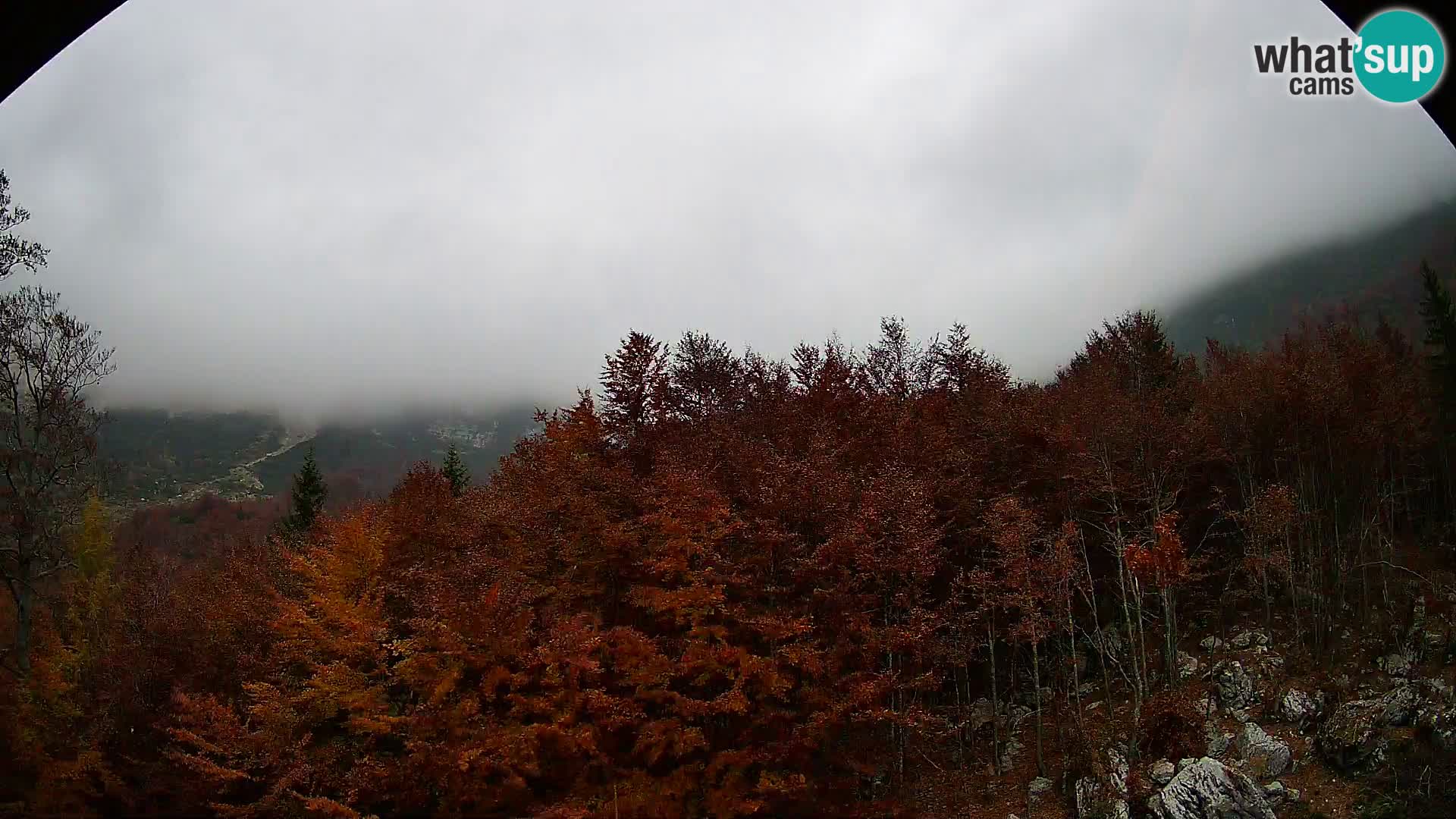 PLANINA RAZOR Live Cam (1315) | vista su Vogel e Globoko