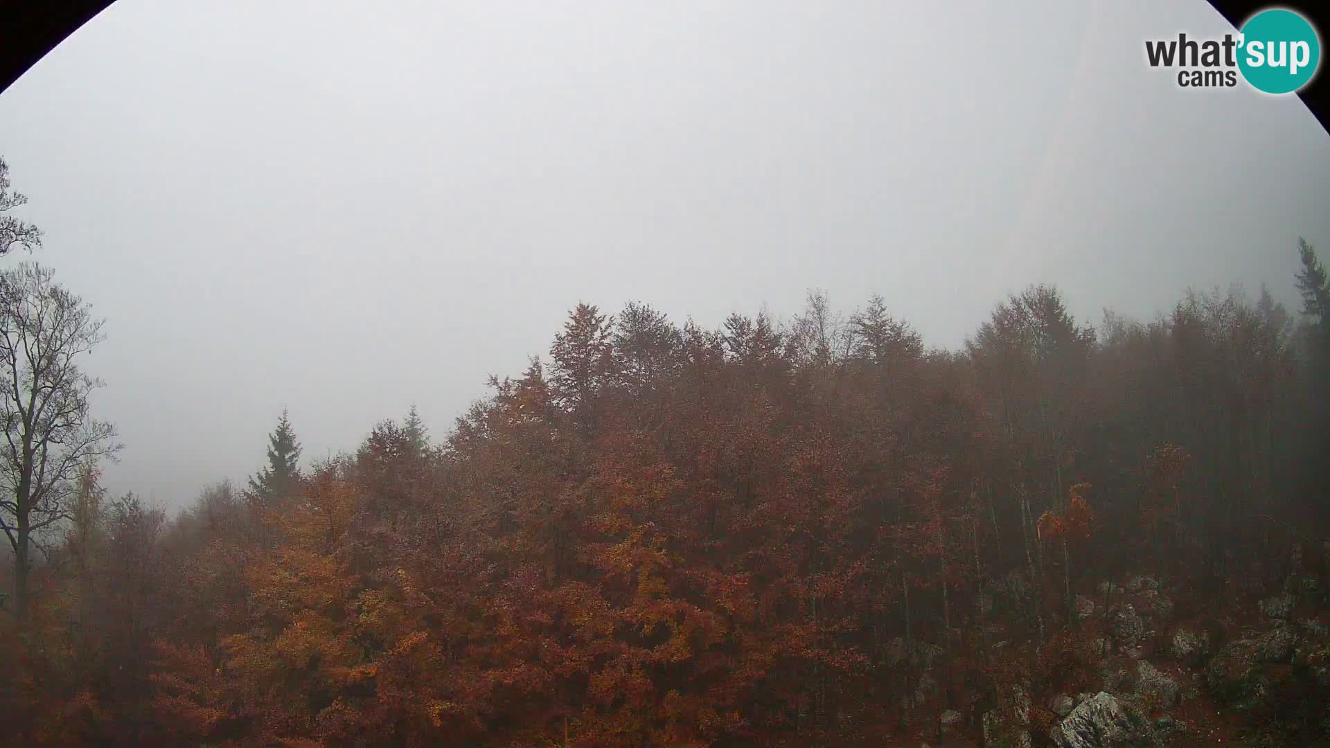 PLANINA RAZOR webcam (1315) | view to Vogel and Globoko