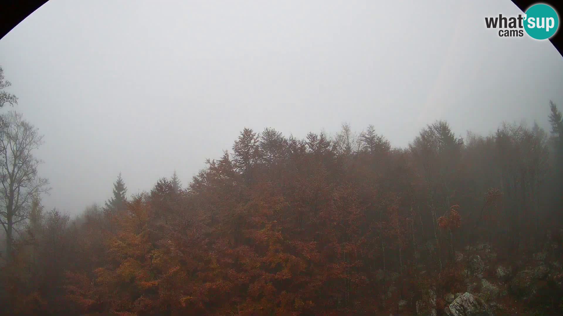 PLANINA RAZOR webcam (1315) | view to Vogel and Globoko