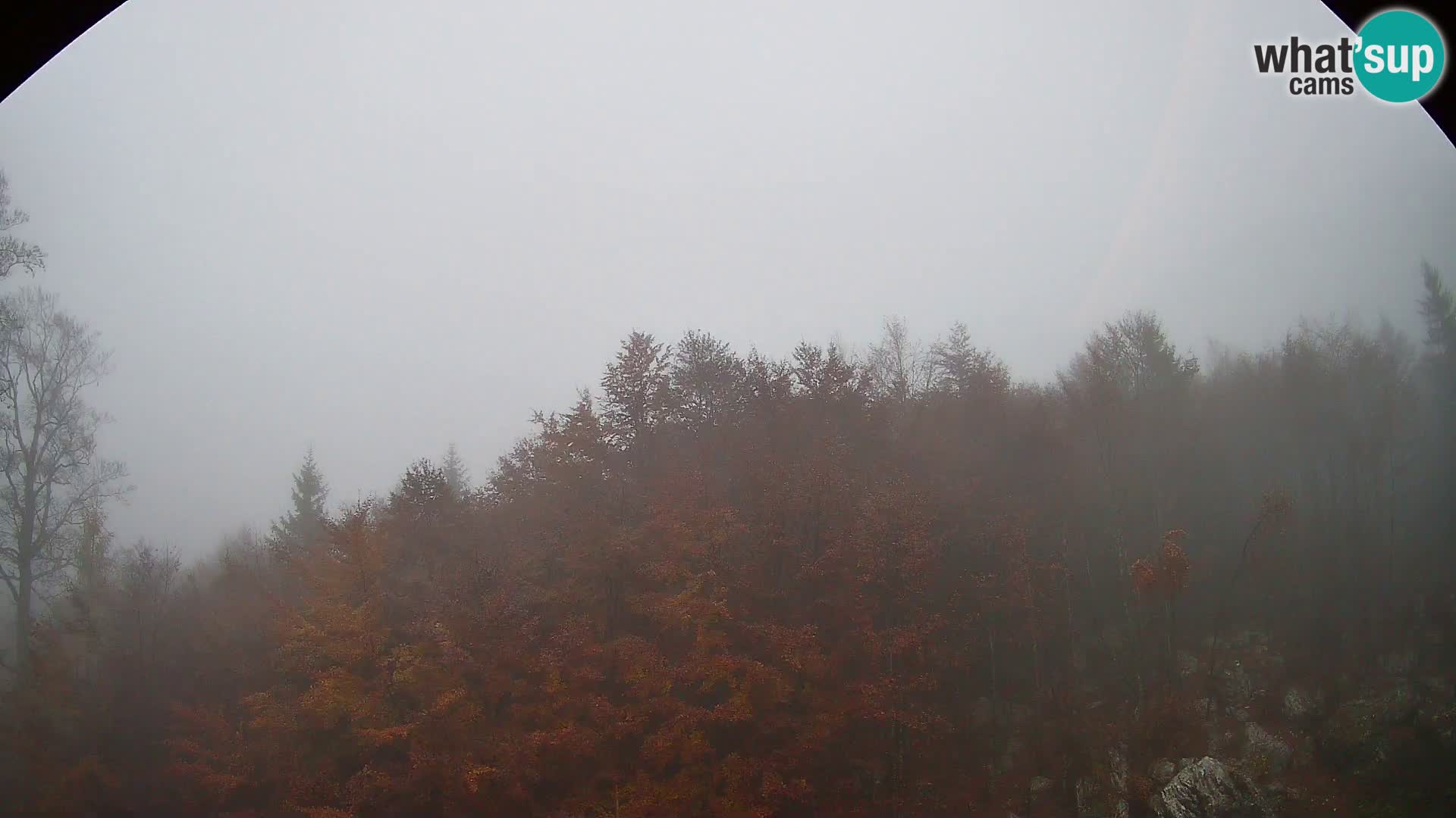 PLANINA RAZOR Live Cam (1315) | vista su Vogel e Globoko