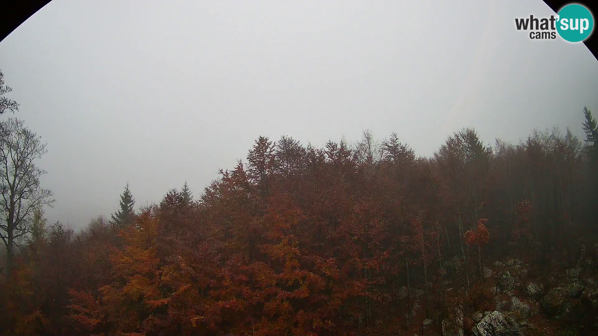 PLANINA RAZOR kamera (1315) | pogled na Vogel in Globoko