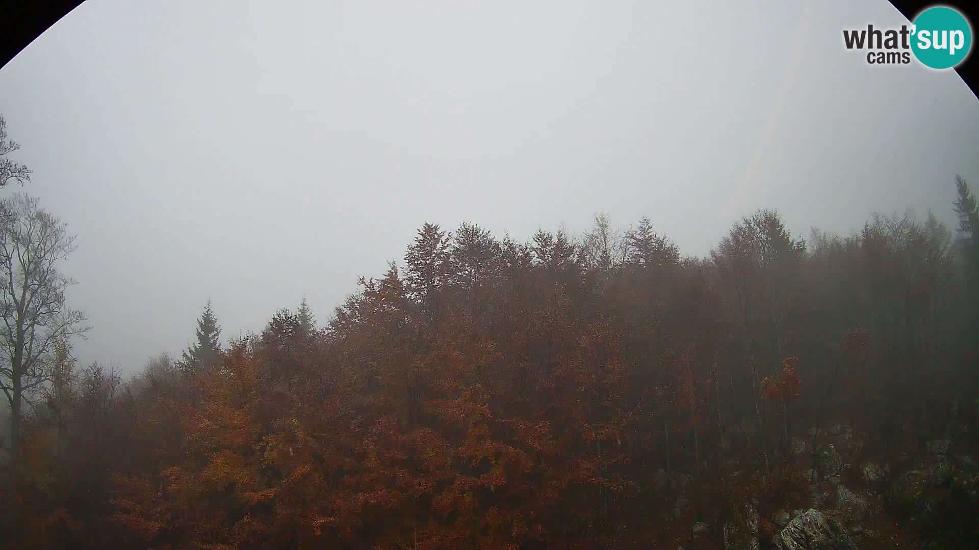 Livecam PLANINA RAZOR (1315) | vue sur Vogel et Globoko