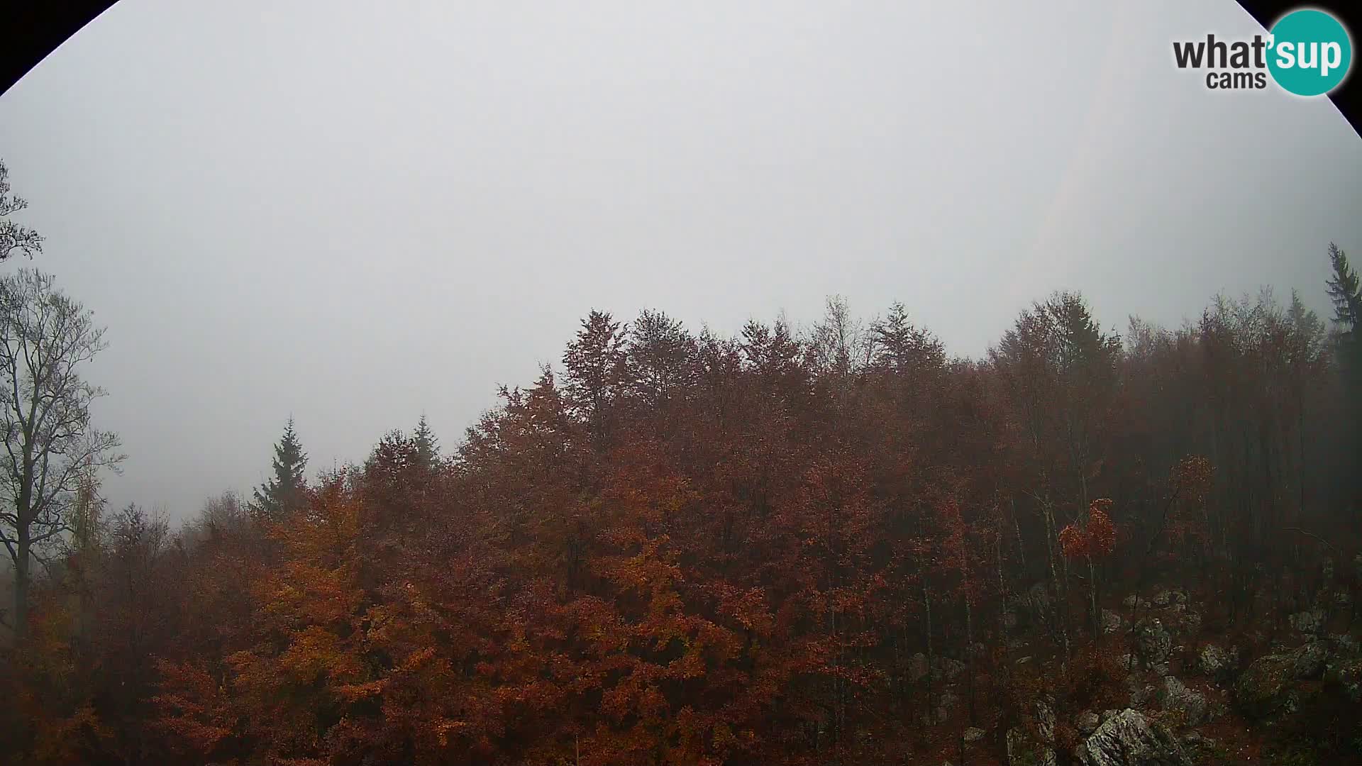 PLANINA RAZOR web kamera (1315) | pogled na Vogel i Globoko