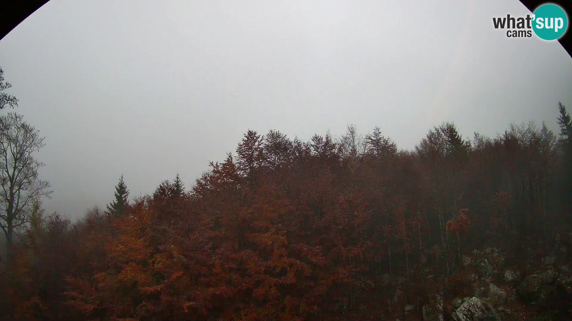 PLANINA RAZOR webcam (1315) | view to Vogel and Globoko