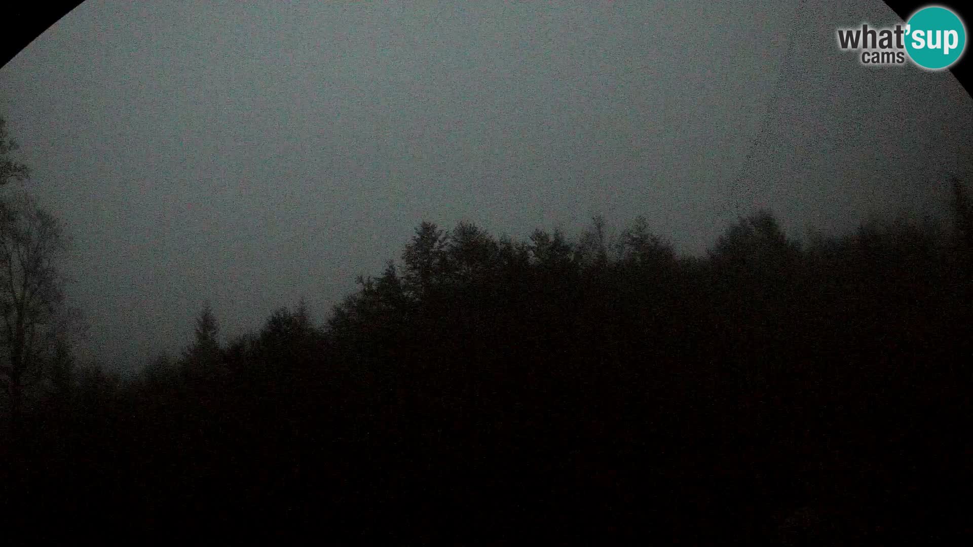 Webcam PLANINA RAZOR (1315) | Blick auf Vogel und Globoko