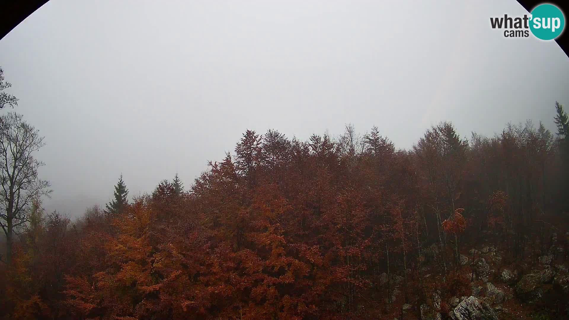 PLANINA RAZOR webcam (1315) | view to Vogel and Globoko