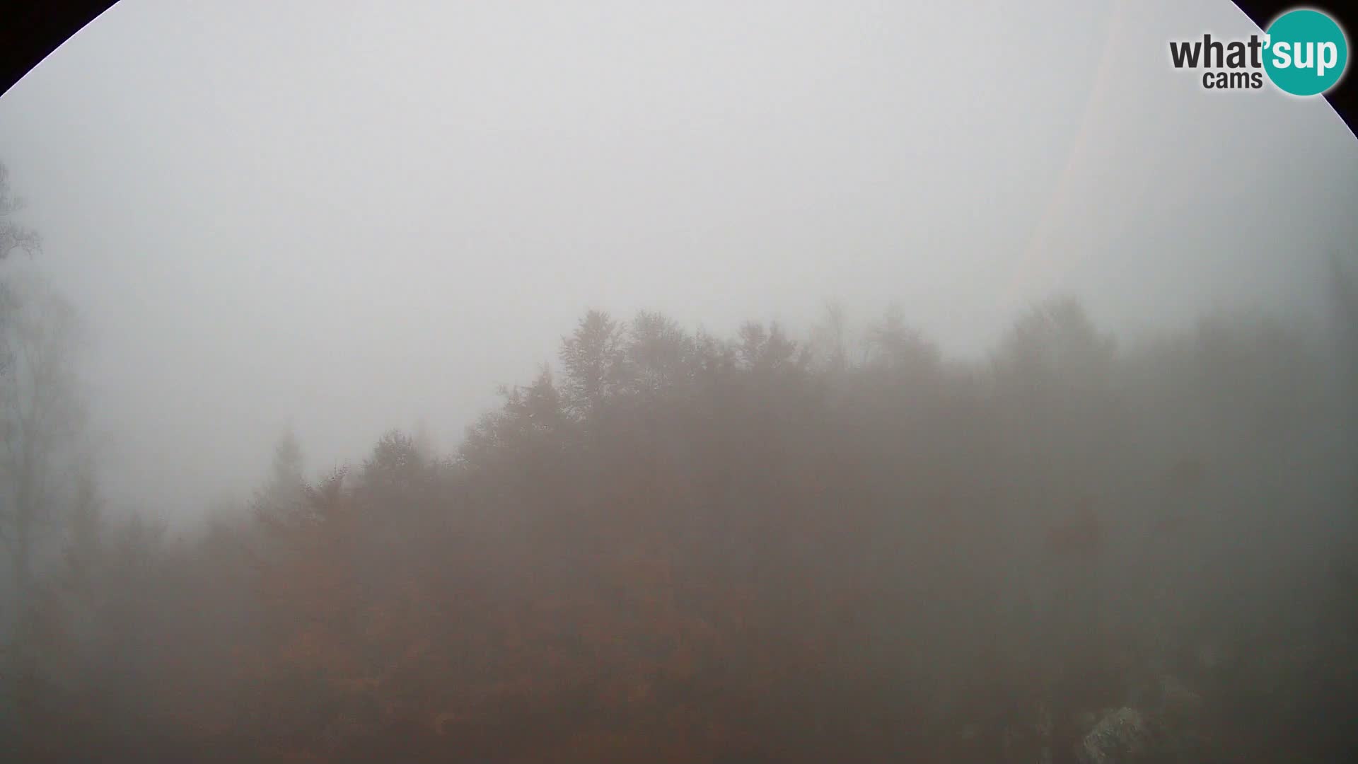 PLANINA RAZOR kamera (1315) | pogled na Vogel in Globoko