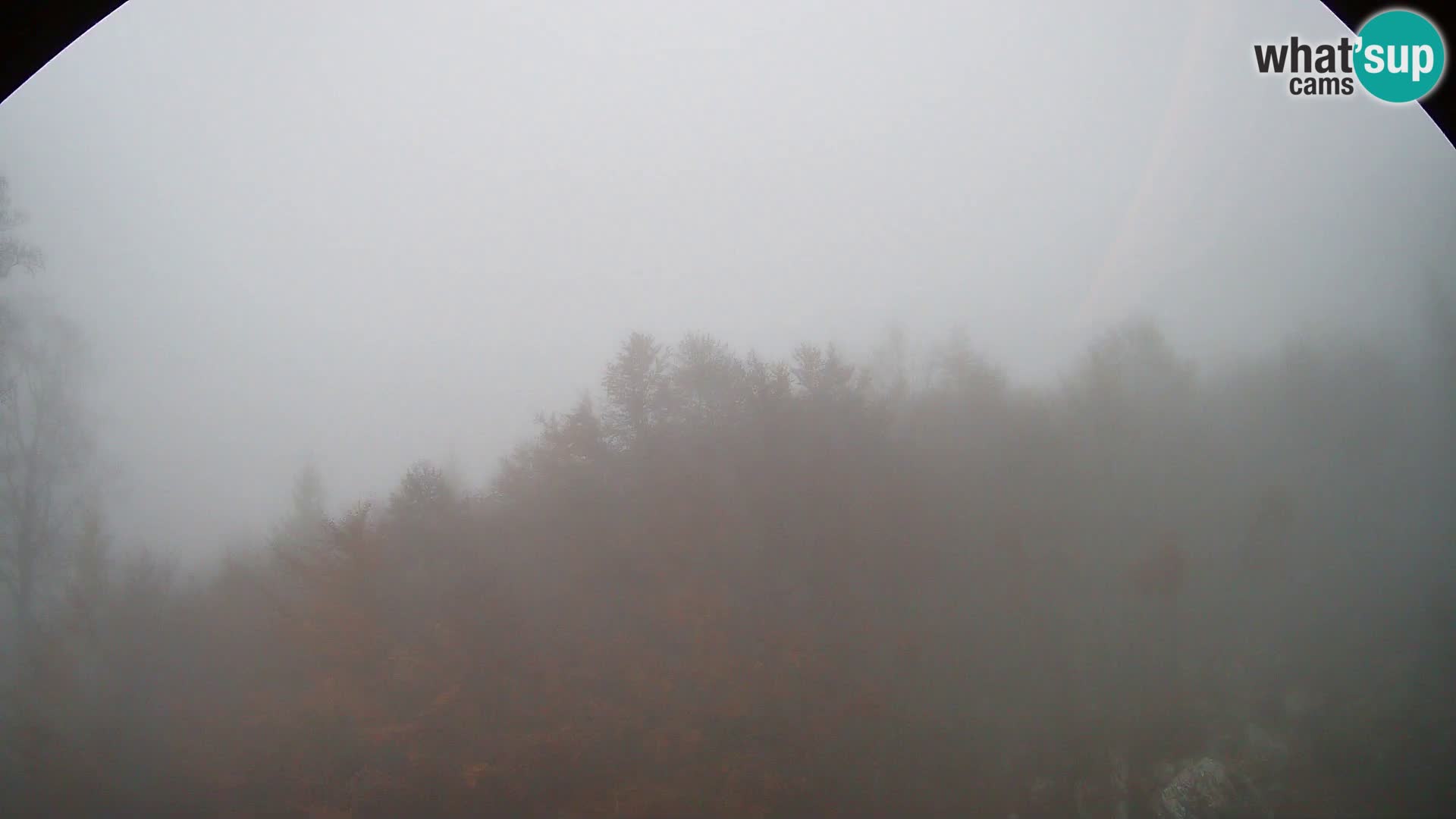 PLANINA RAZOR web kamera (1315) | pogled na Vogel i Globoko
