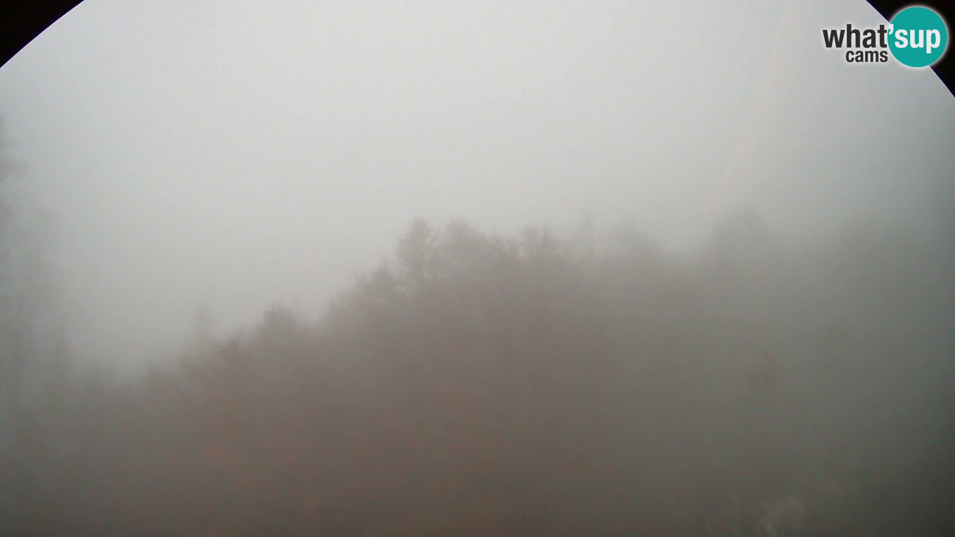 PLANINA RAZOR Live Cam (1315) | vista su Vogel e Globoko