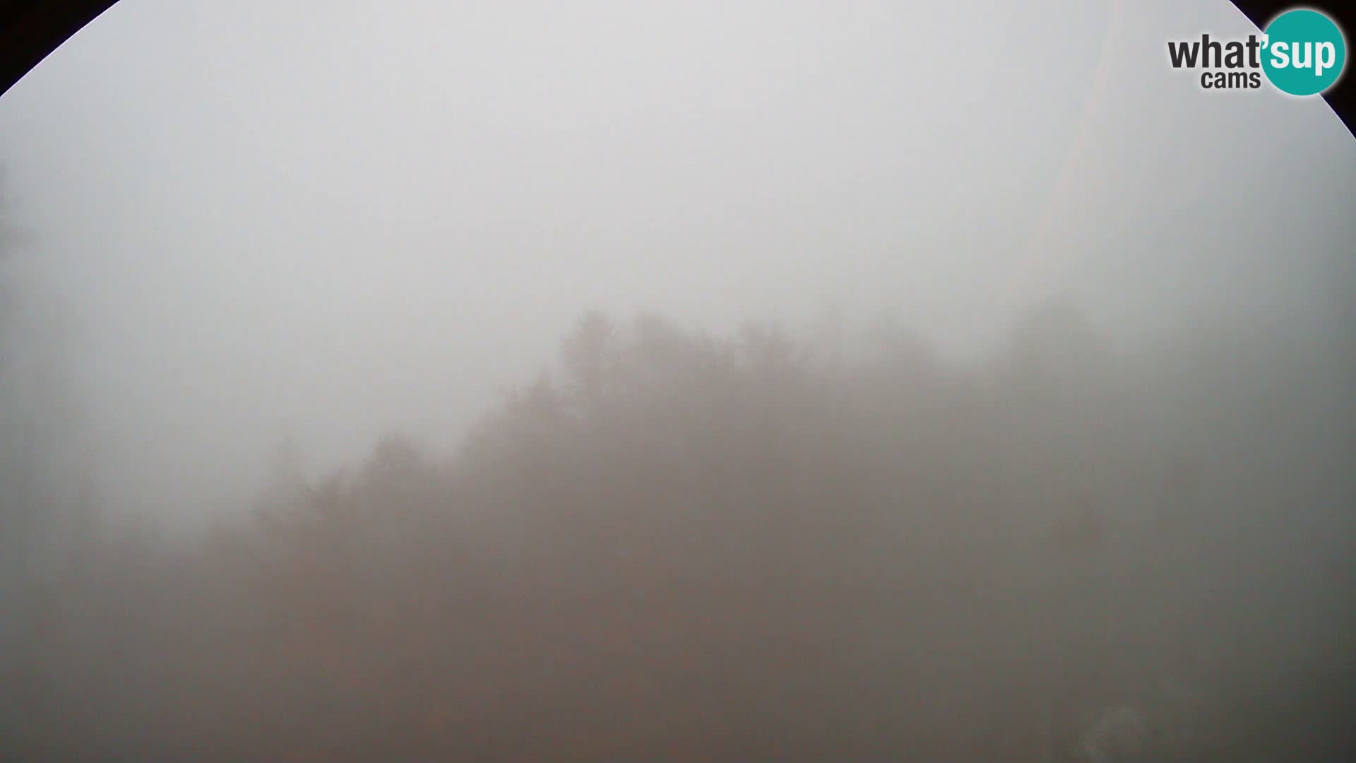 PLANINA RAZOR Live Cam (1315) | vista su Vogel e Globoko