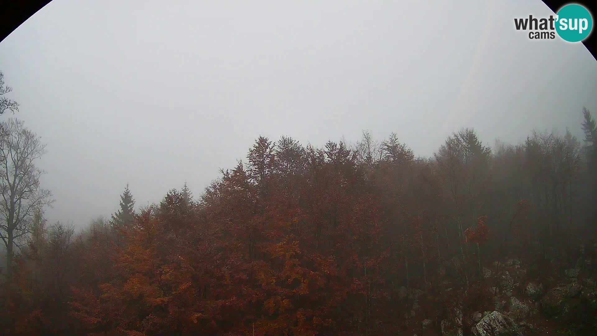 PLANINA RAZOR kamera (1315) | pogled na Vogel in Globoko