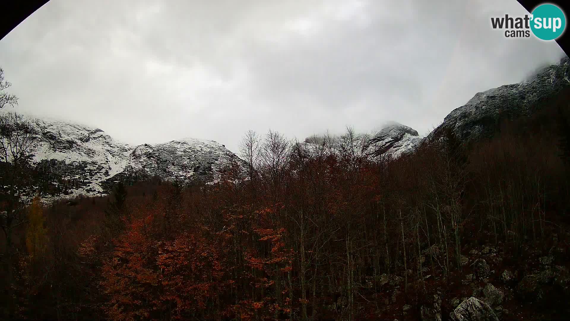 PLANINA RAZOR kamera (1315) | pogled na Vogel in Globoko