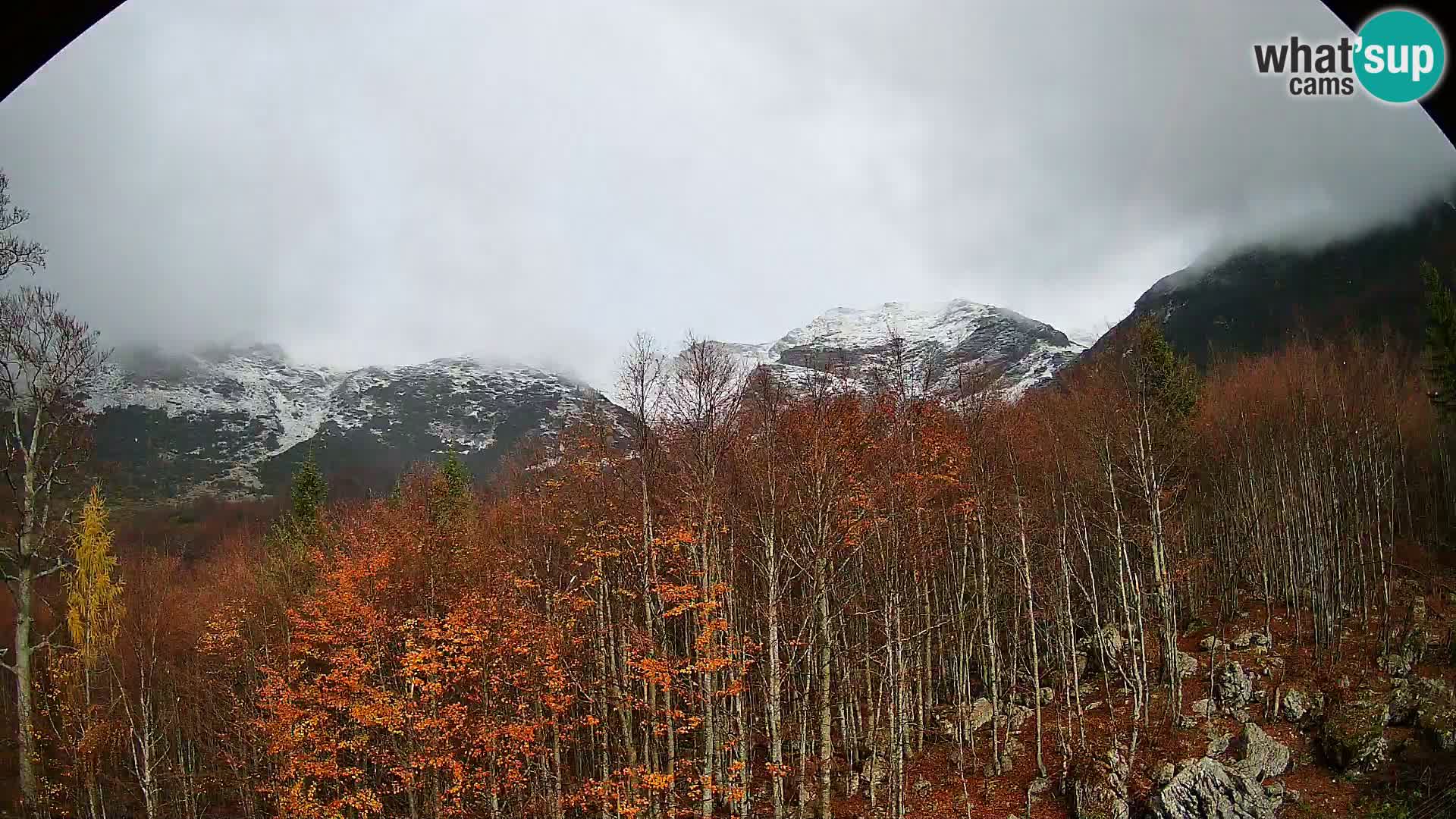Livecam PLANINA RAZOR (1315) | vue sur Vogel et Globoko