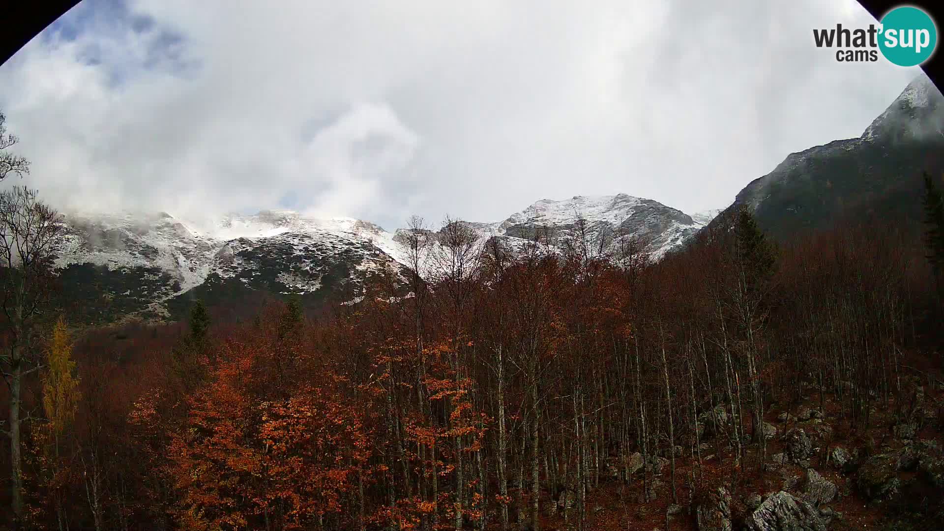 PLANINA RAZOR web kamera (1315) | pogled na Vogel i Globoko