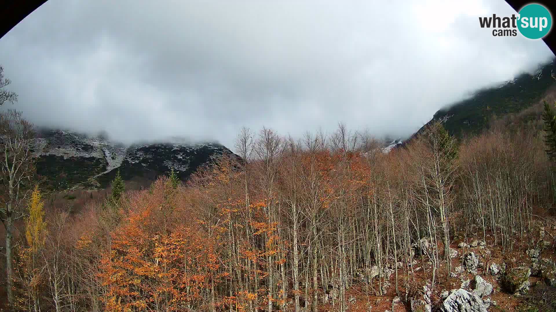PLANINA RAZOR webcam (1315) | view to Vogel and Globoko