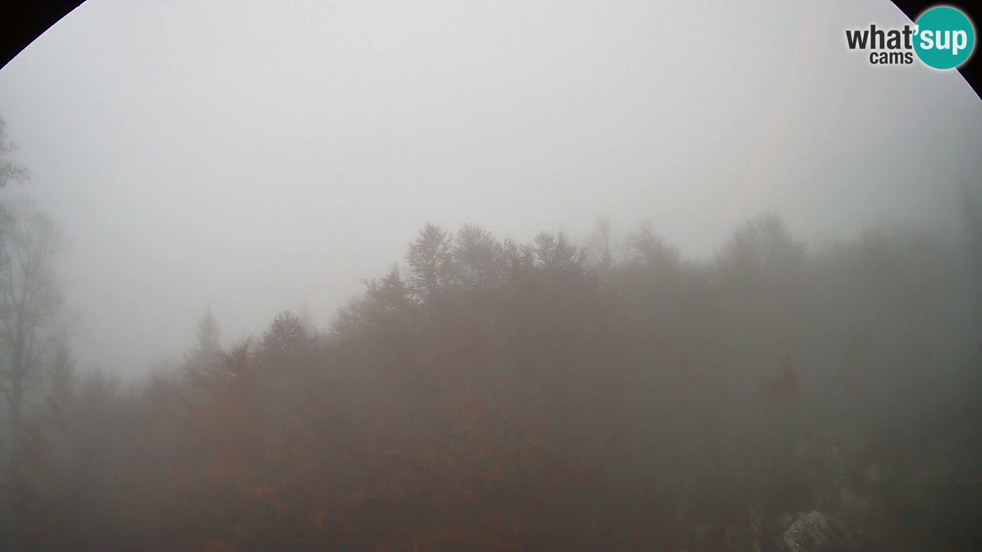 PLANINA RAZOR Live Cam (1315) | vista su Vogel e Globoko