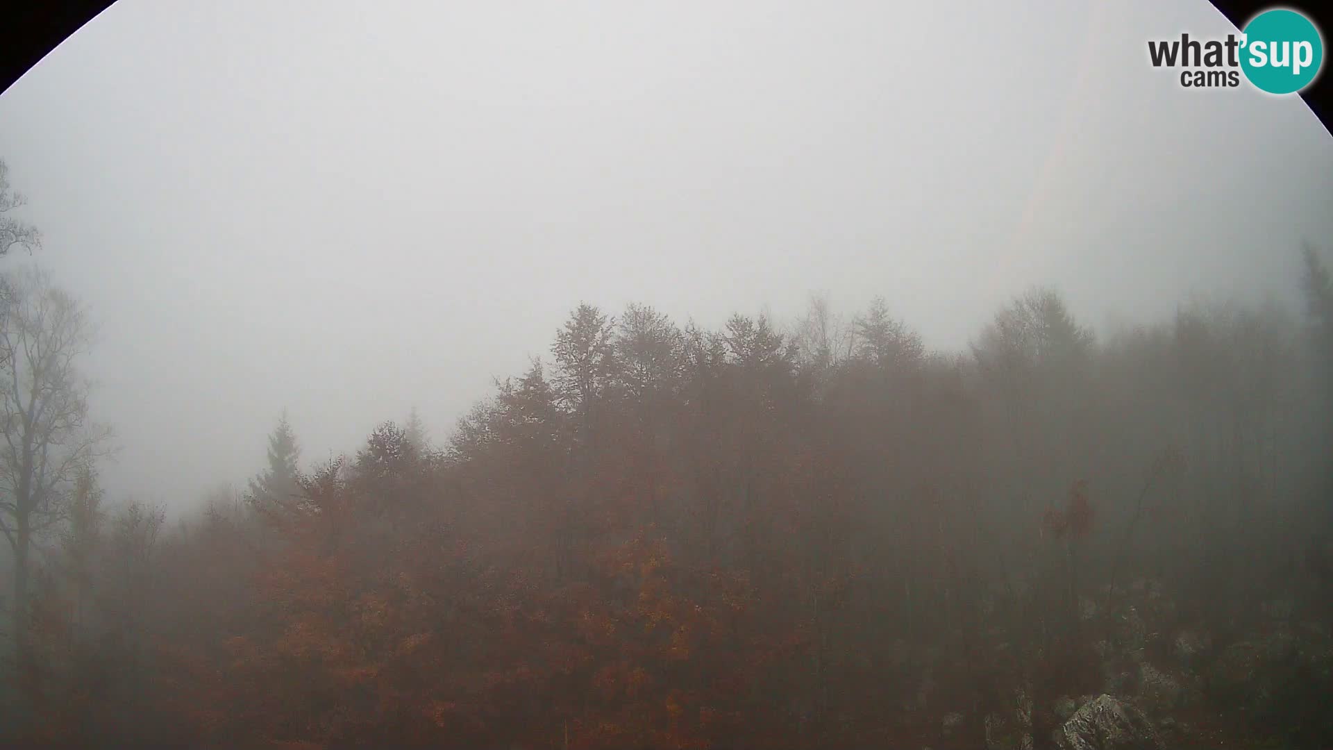 PLANINA RAZOR kamera (1315) | pogled na Vogel in Globoko