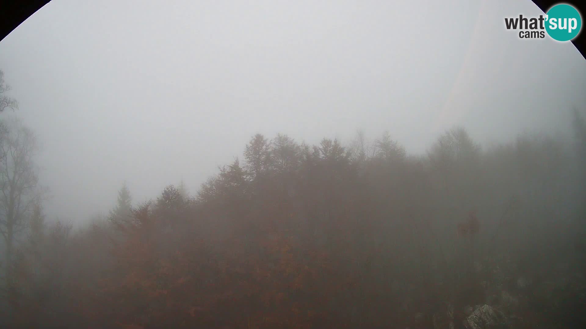 PLANINA RAZOR webcam (1315) | view to Vogel and Globoko