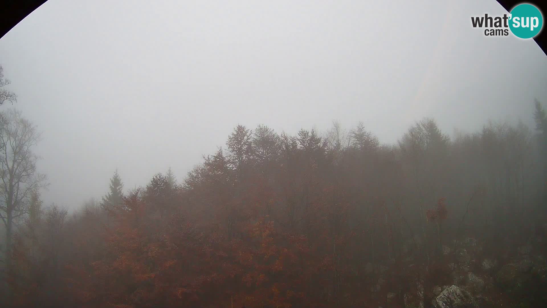 PLANINA RAZOR web kamera (1315) | pogled na Vogel i Globoko