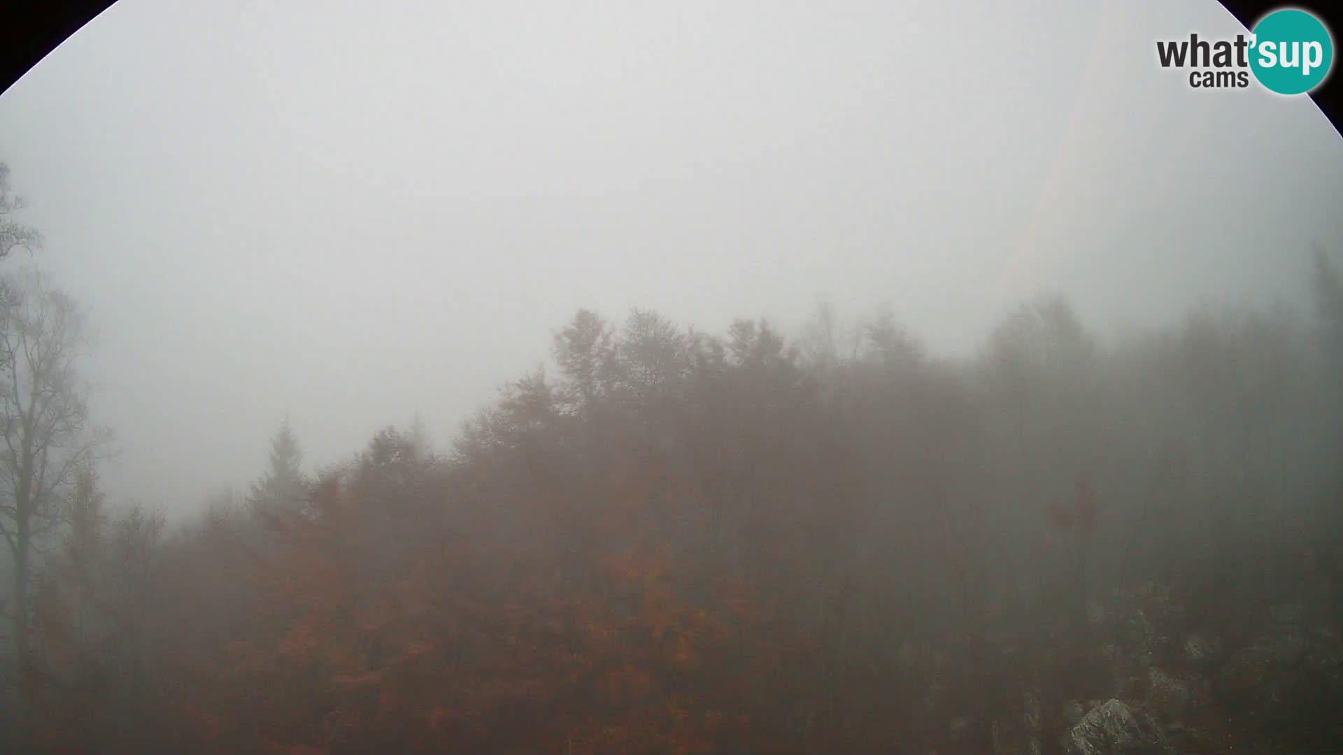 PLANINA RAZOR webcam (1315) | view to Vogel and Globoko