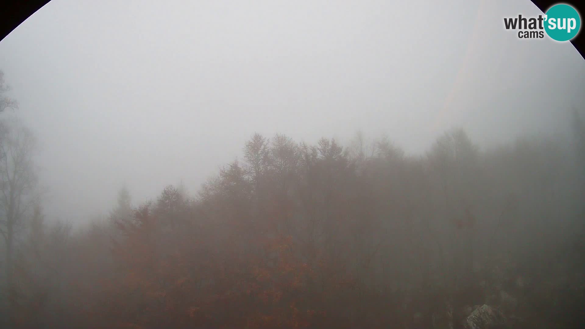 PLANINA RAZOR webcam (1315) | view to Vogel and Globoko