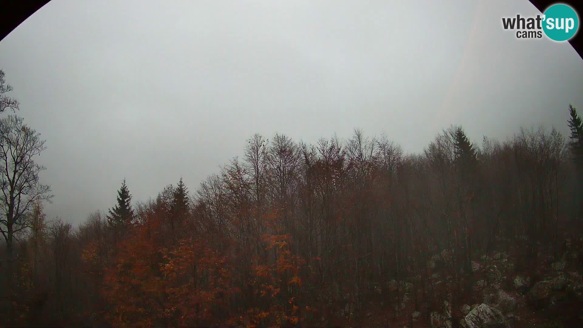 PLANINA RAZOR webcam (1315) | view to Vogel and Globoko