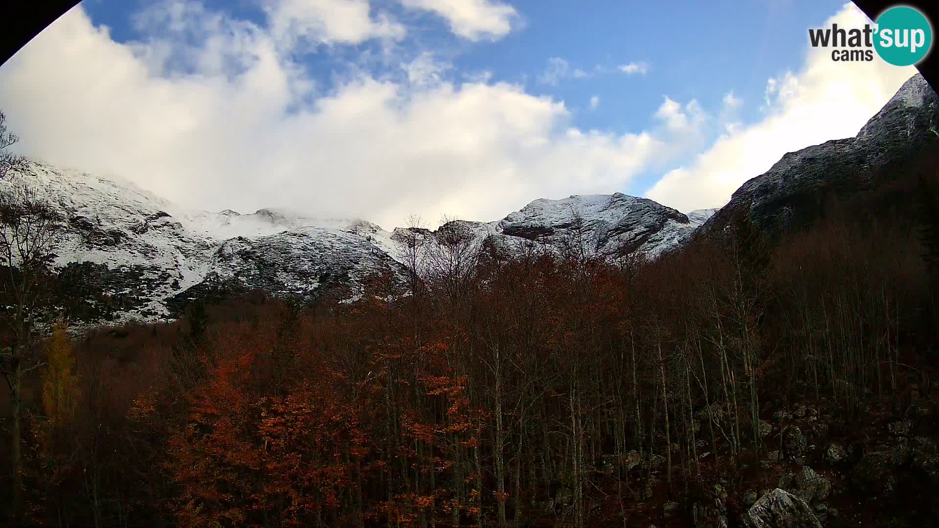Webcam PLANINA RAZOR (1315) | Blick auf Vogel und Globoko