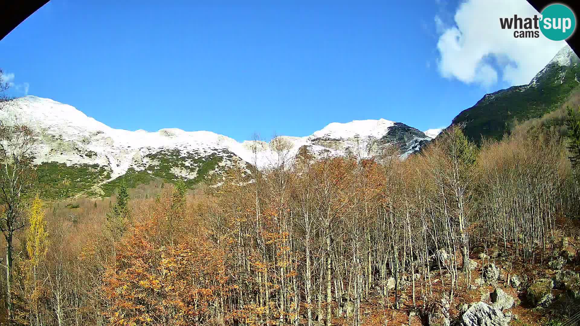 Webcam PLANINA RAZOR (1315) | Blick auf Vogel und Globoko