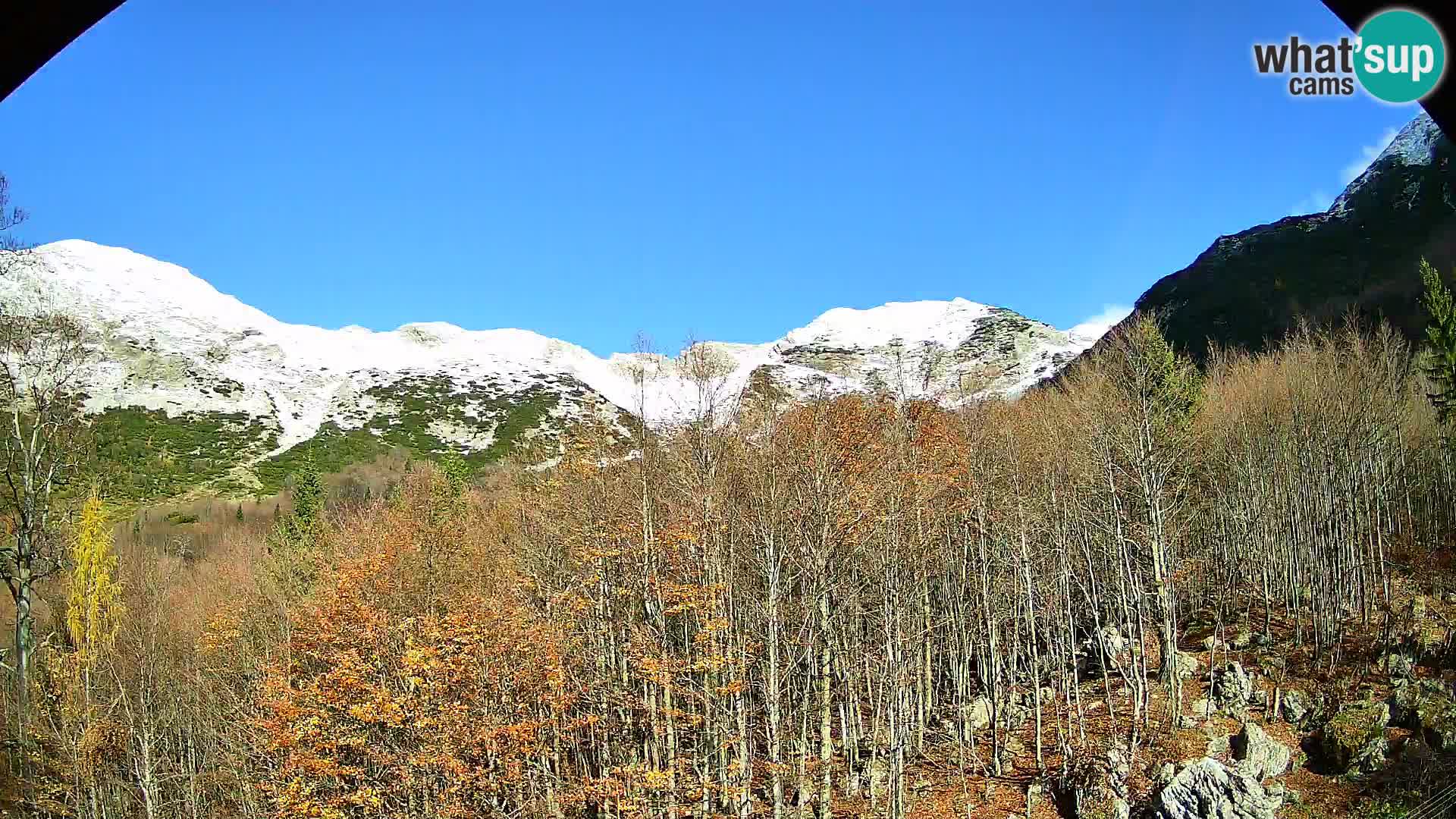 PLANINA RAZOR webcam (1315) | view to Vogel and Globoko