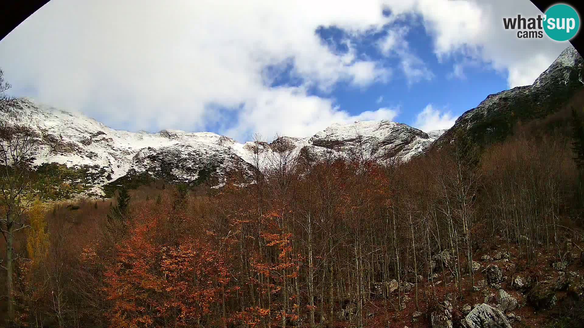 Webcam PLANINA RAZOR (1315) | Blick auf Vogel und Globoko
