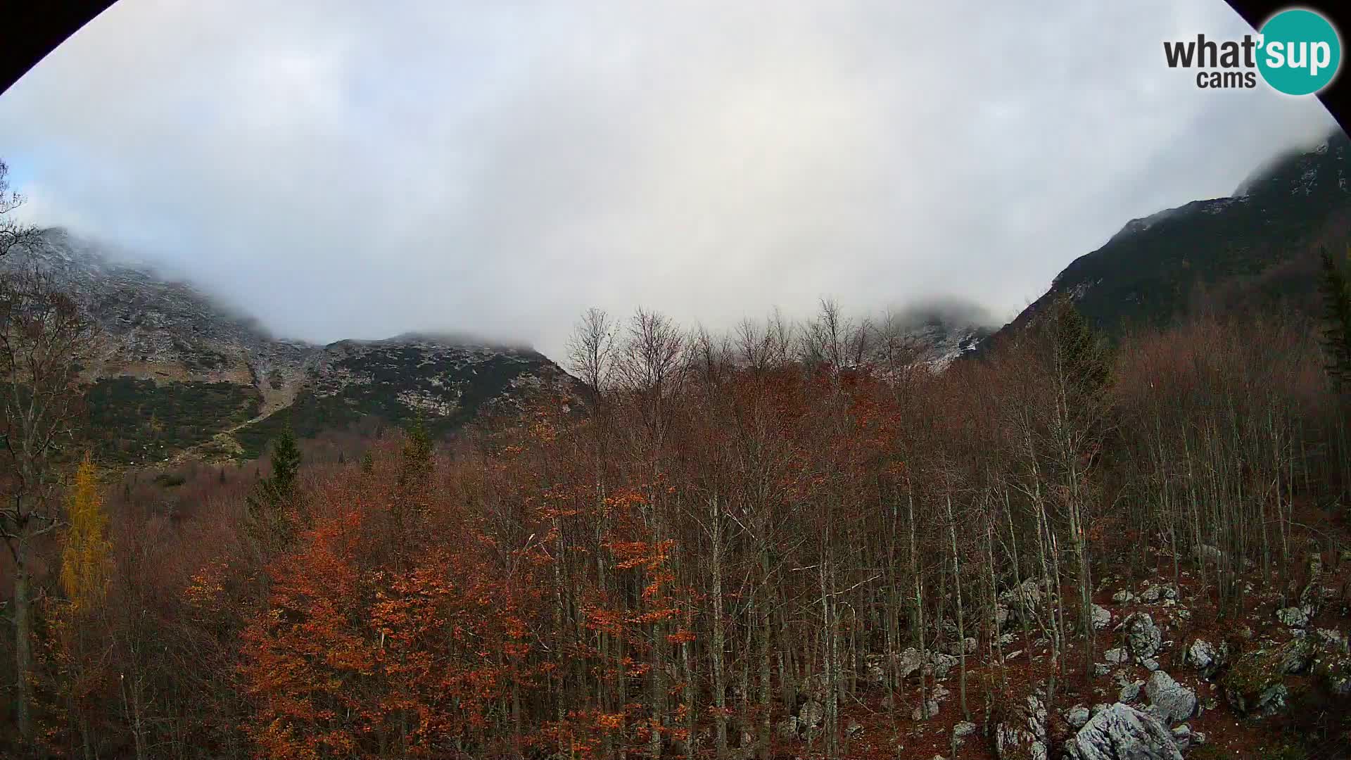 PLANINA RAZOR webcam (1315) | view to Vogel and Globoko