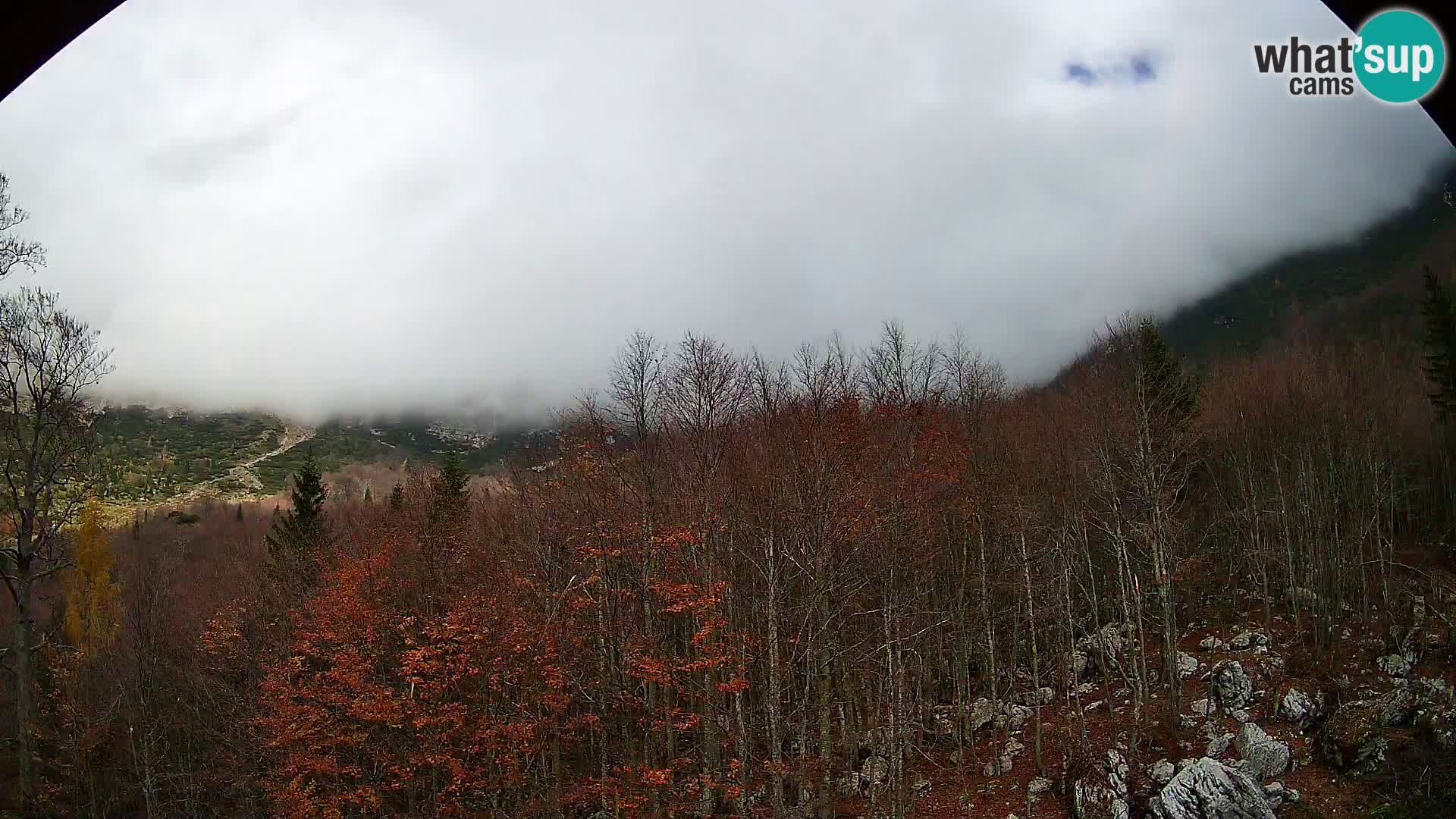 Livecam PLANINA RAZOR (1315) | vue sur Vogel et Globoko