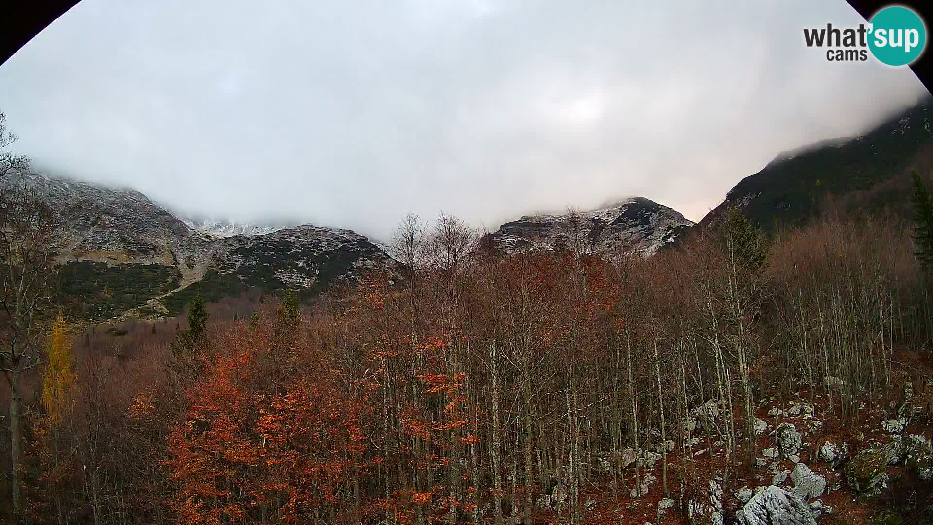 PLANINA RAZOR Live Cam (1315) | vista su Vogel e Globoko