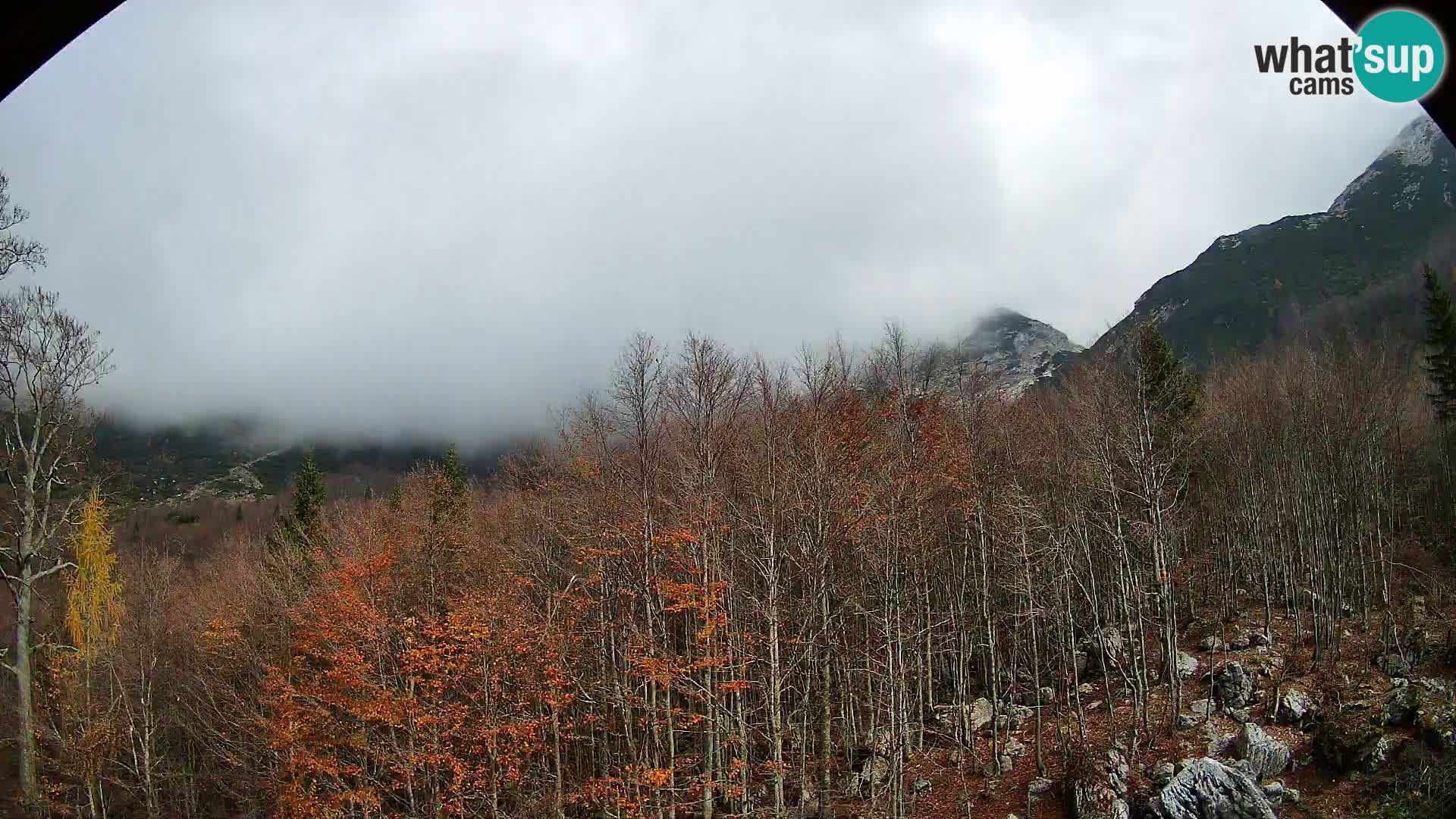 PLANINA RAZOR Live Cam (1315) | vista su Vogel e Globoko