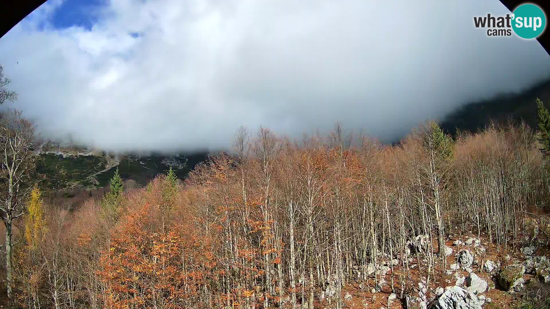 PLANINA RAZOR Live Cam (1315) | vista su Vogel e Globoko