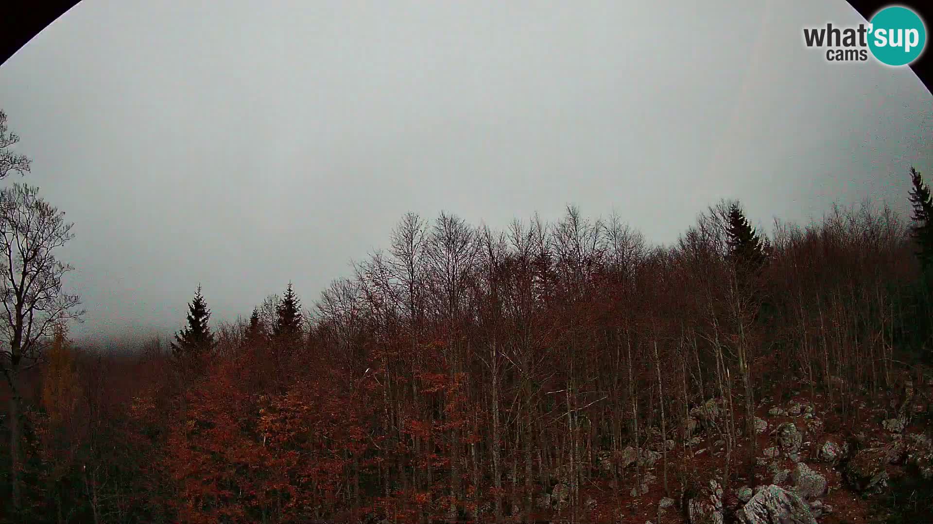PLANINA RAZOR webcam (1315) | view to Vogel and Globoko