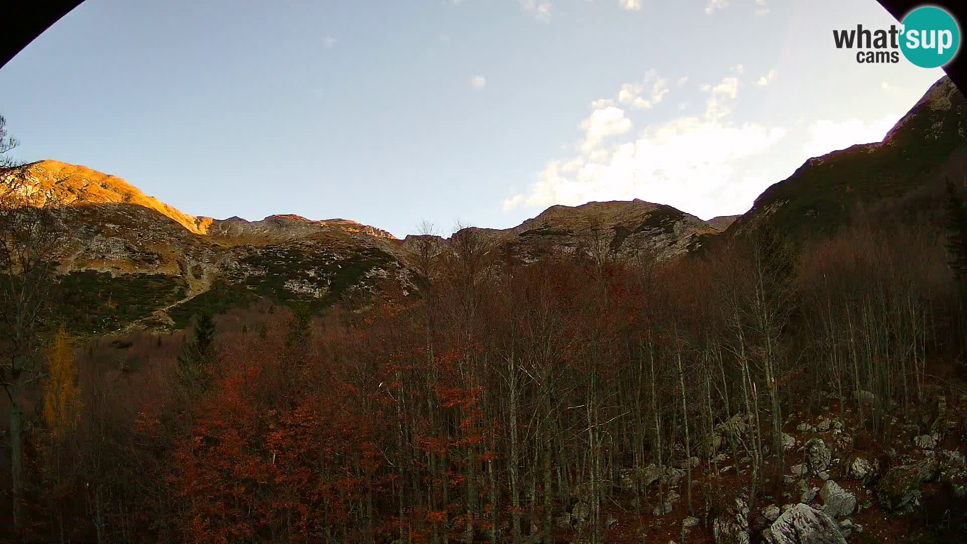 Livecam PLANINA RAZOR (1315) | vue sur Vogel et Globoko