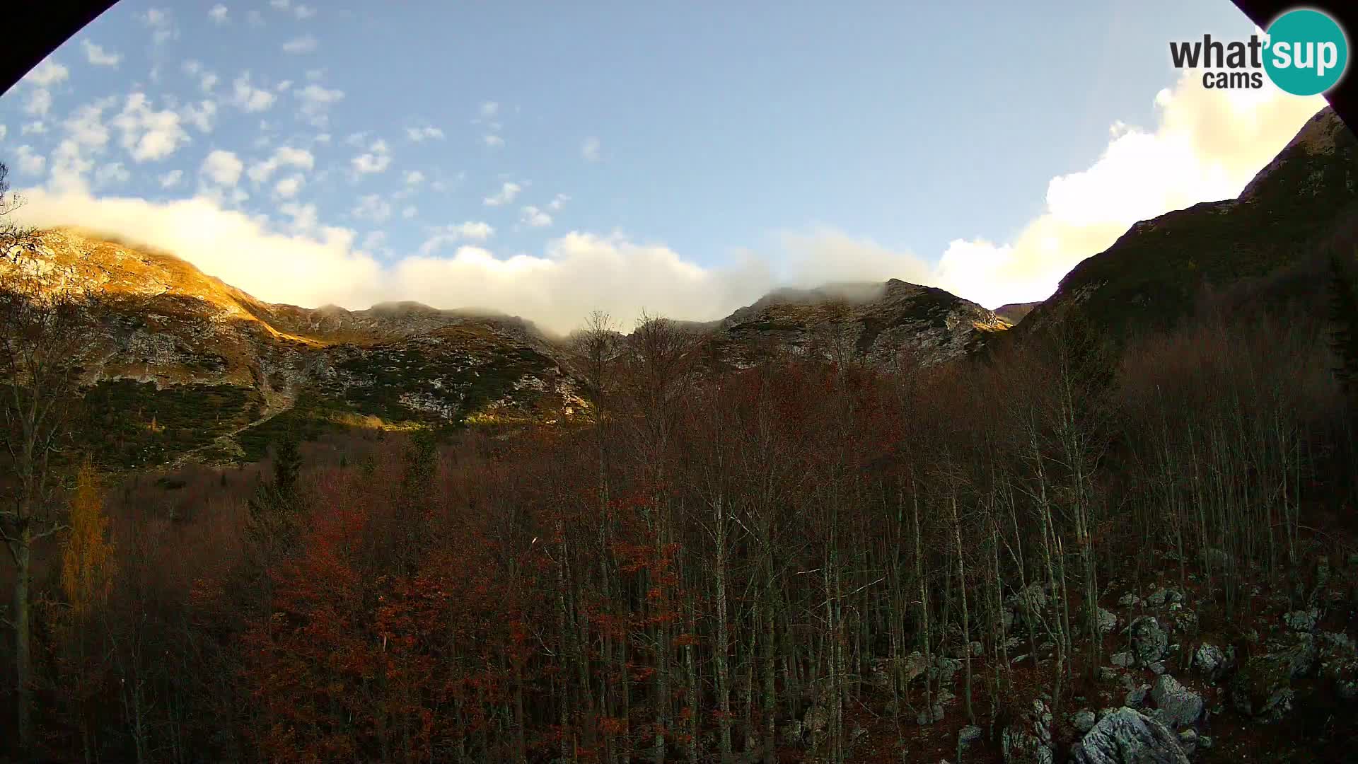 Livecam PLANINA RAZOR (1315) | vue sur Vogel et Globoko
