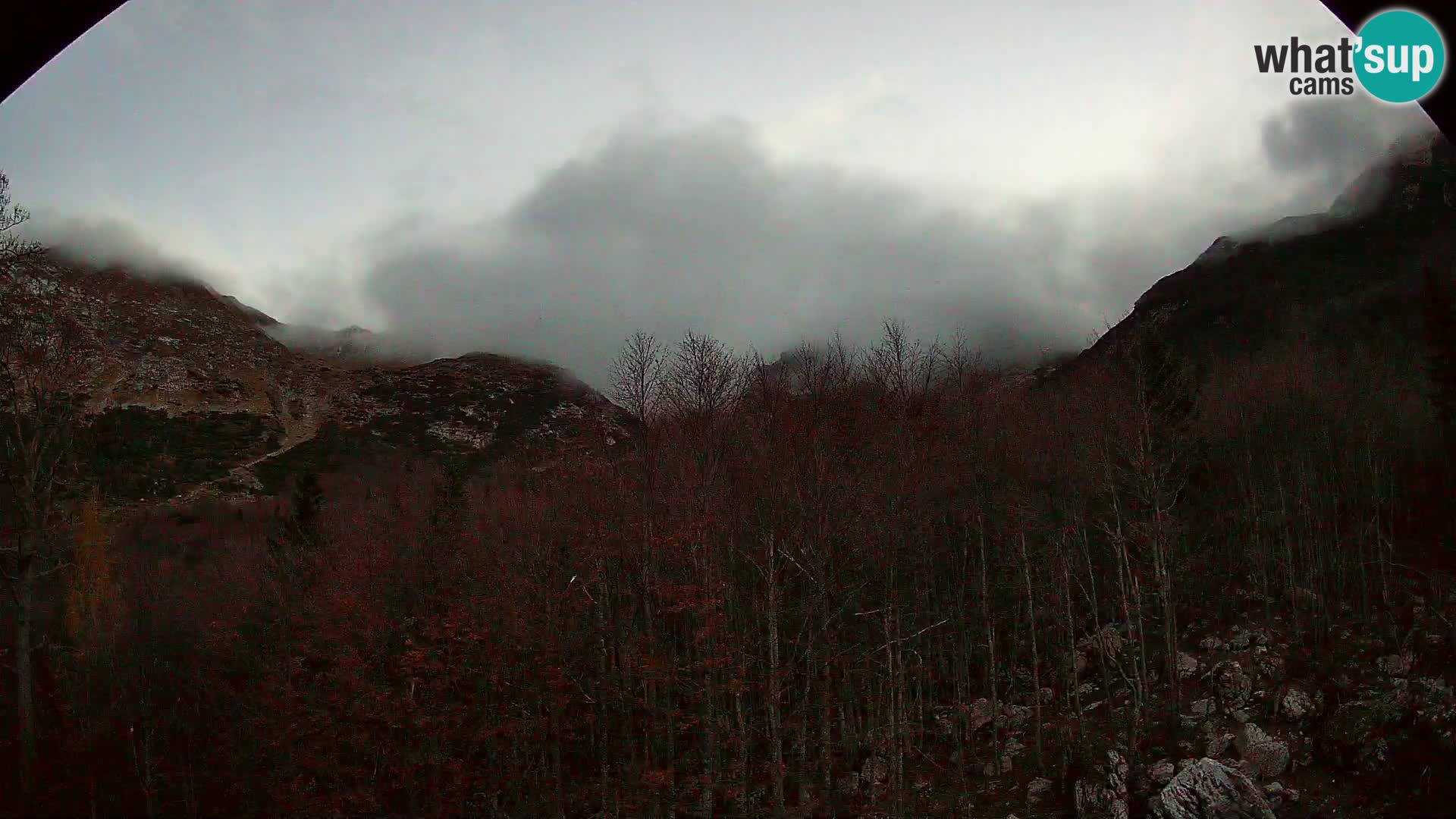 PLANINA RAZOR webcam (1315) | view to Vogel and Globoko