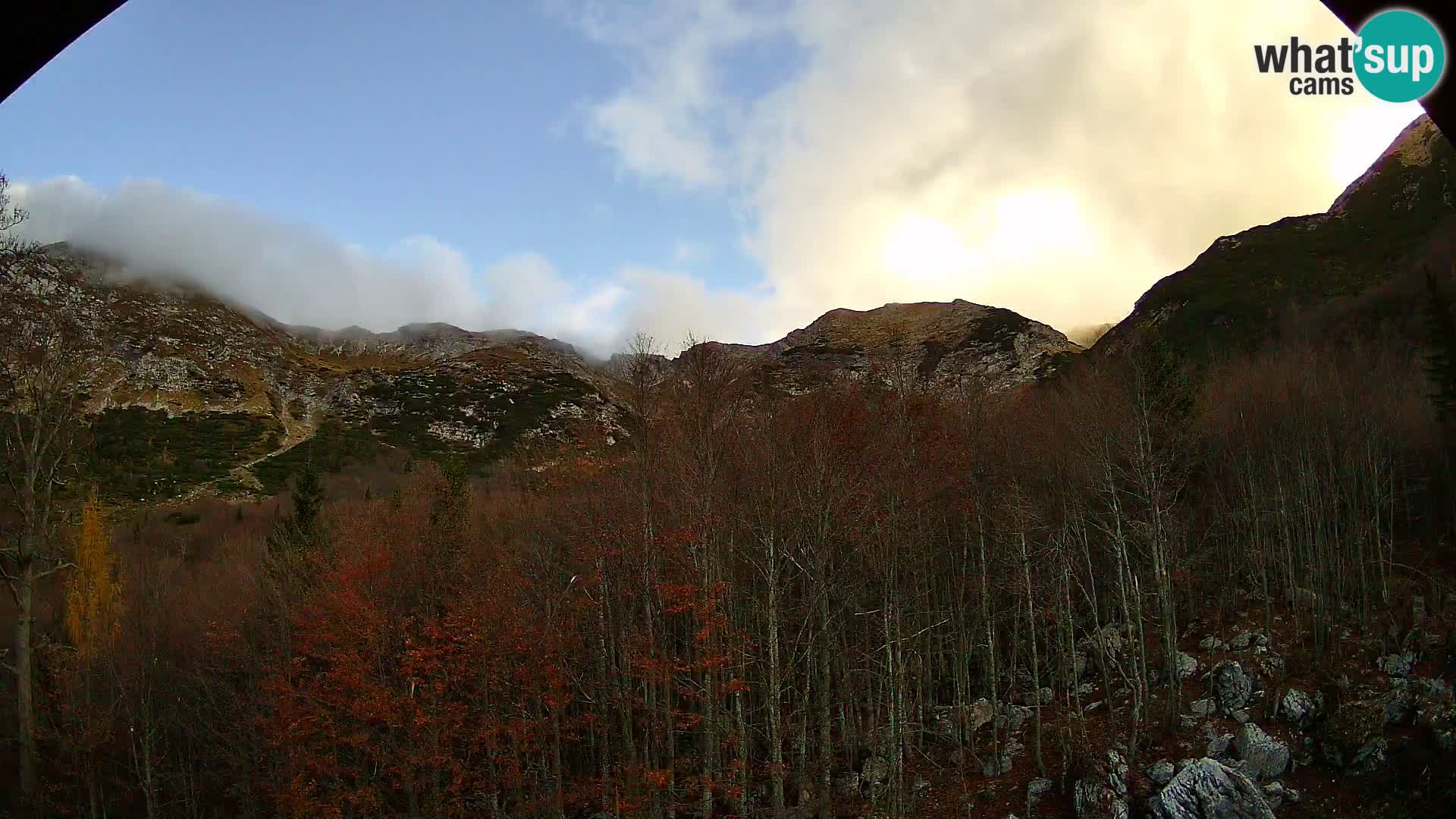Livecam PLANINA RAZOR (1315) | vue sur Vogel et Globoko