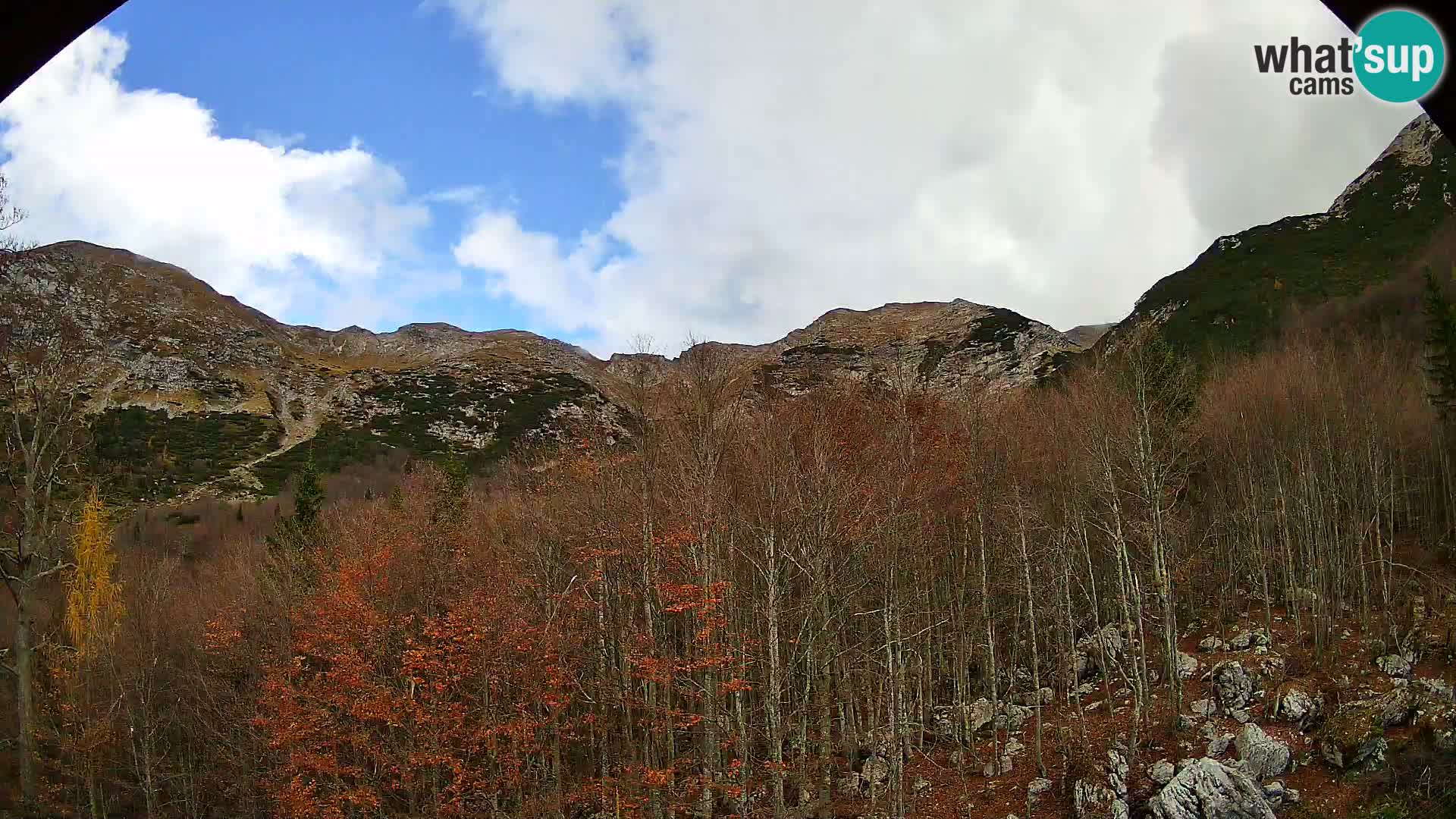 PLANINA RAZOR web kamera (1315) | pogled na Vogel i Globoko