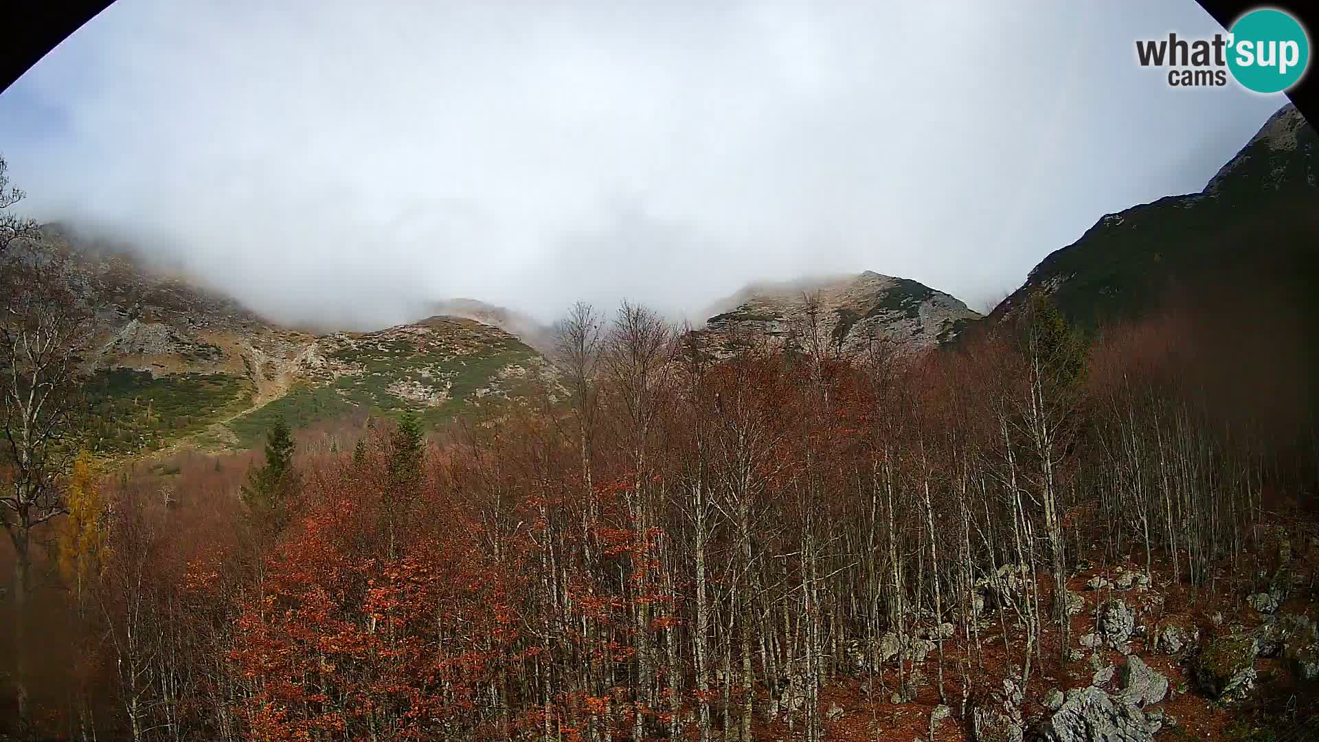 PLANINA RAZOR Live Cam (1315) | vista su Vogel e Globoko