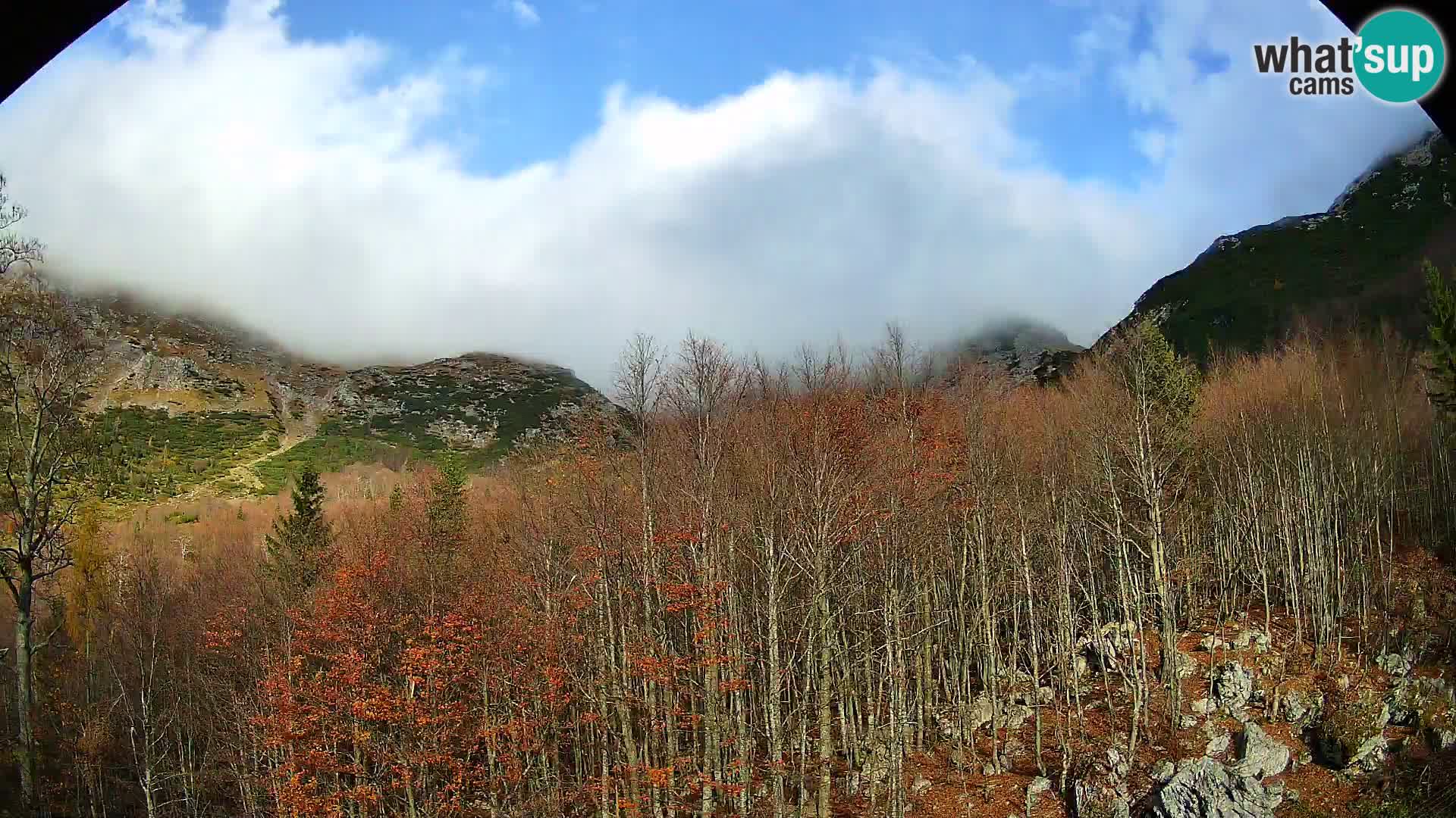 PLANINA RAZOR Live Cam (1315) | vista su Vogel e Globoko
